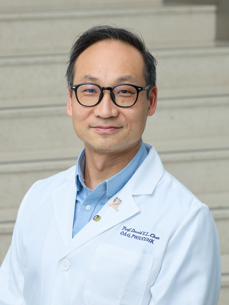 Professor David Yiu Leung CHAN